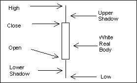 Candlestick Chart #1