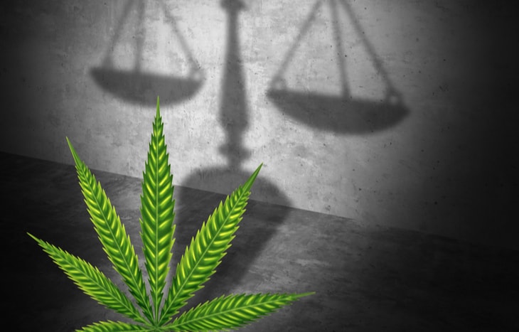 Which pot stocks will ipo in 2020