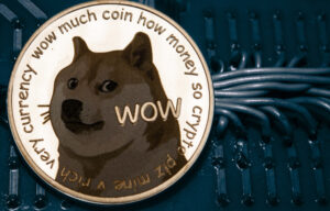 Is it Smart to Invest in Dogecoin?
