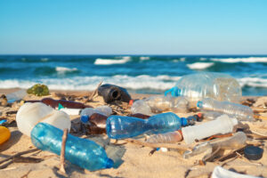 Pollution in Oceans Is Leading to Plastic in Your Body