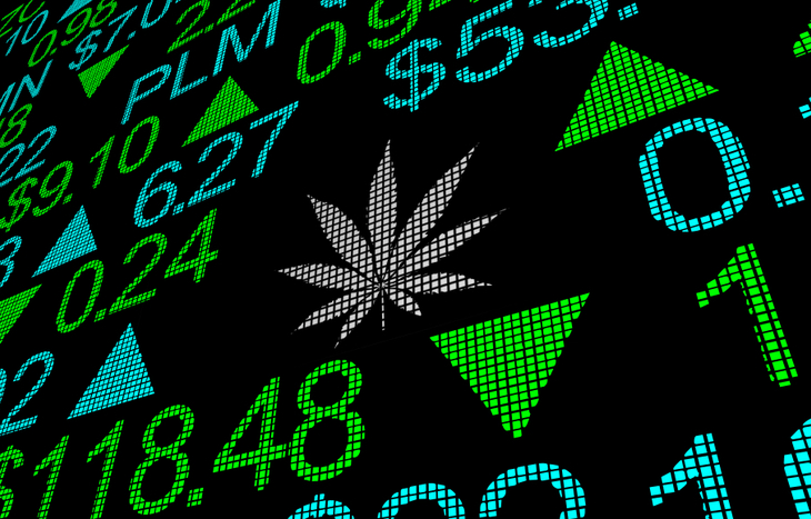 The Top Marijuana Stocks to Watch and Invest in for 2022