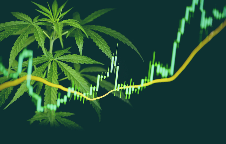 The top marijuana penny stocks can provide great investment opportunities.