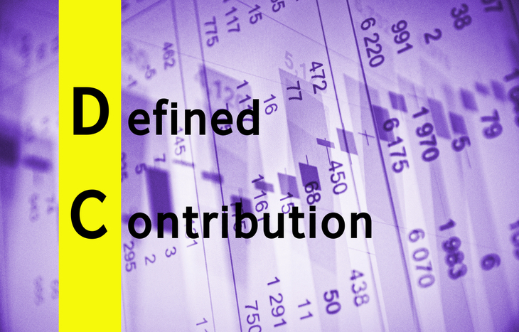 Analyzing the figures in a defined contribution plan