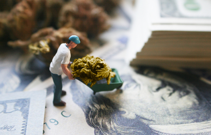 Marijuana ETFs lifting the burden of several pot stocks.