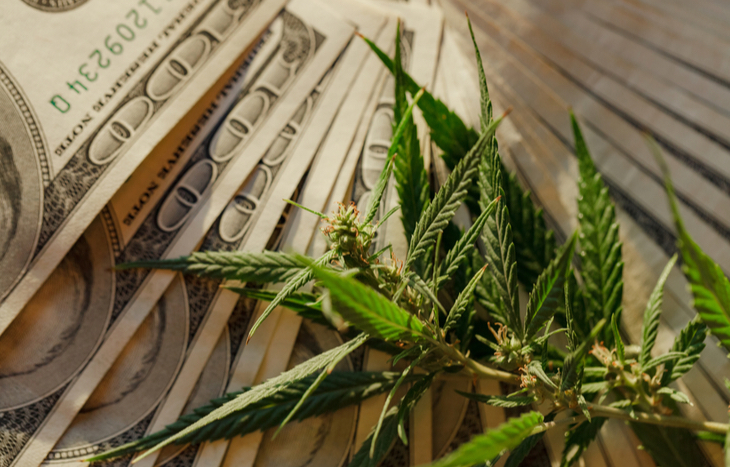 https://investmentu.com/wp-content/uploads/2021/02/money-marijuana.jpg