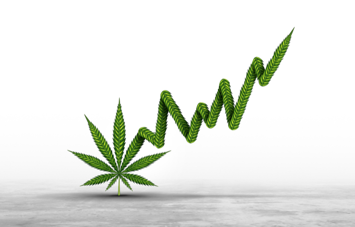 Best weed stocks growing upwards