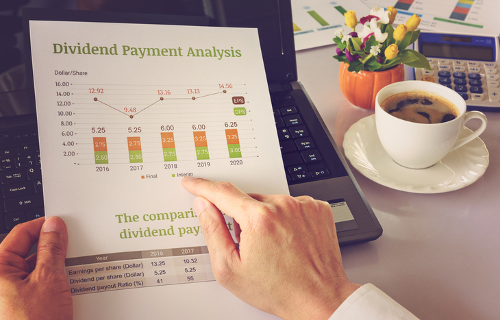 Dividend reinvestment (DRIP)