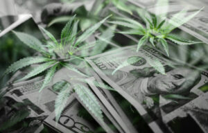420 Stocks to Profit With Marijuana Legalization