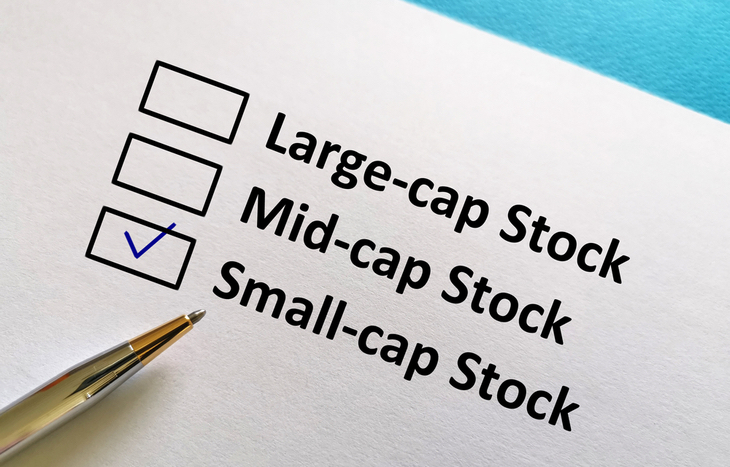 Understanding Small Cap Stocks Financial Literacy Investment U