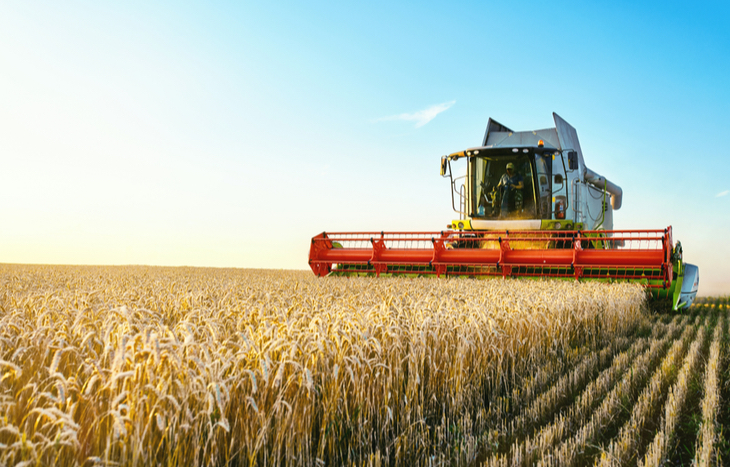 Top 10 Agriculture Stocks to Beat Inflation and Feed the World