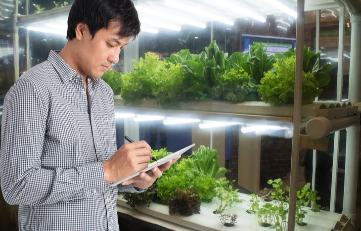 researching vertical farming stocks