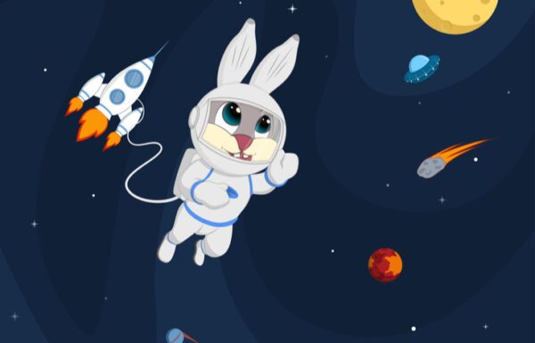 rocket bunny crypto