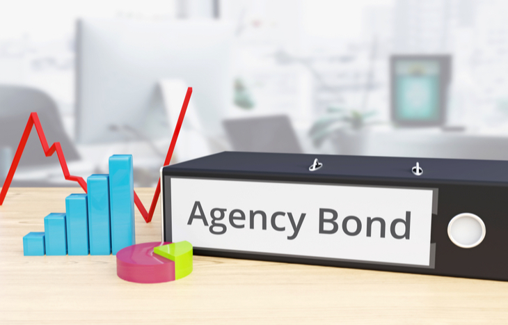 What is an agency bond?