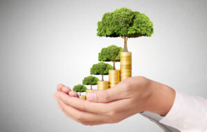 Seed Funding: An Overview for Investors and Startups