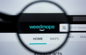 Weedmaps Stock: Everything to Know About This Cannabis SPAC IPO