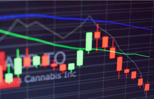 Will Marijuana Stocks Go Back Up?
