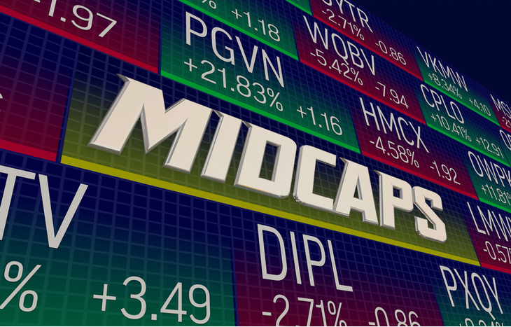 Mid cap companies can bring value to your portfolio