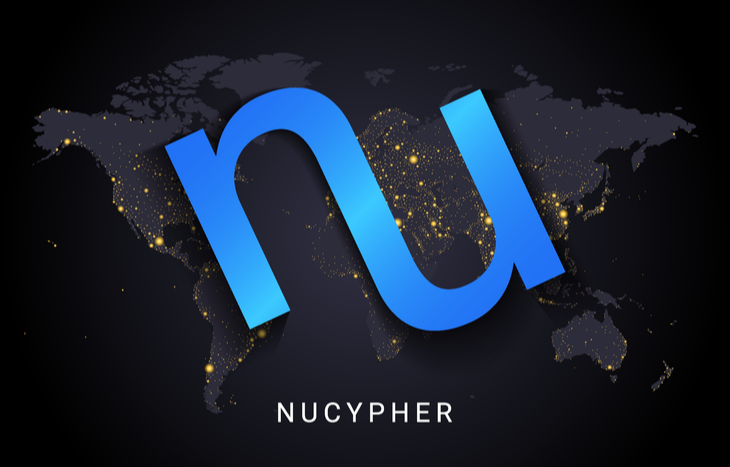 Logo for NuCypher crypto