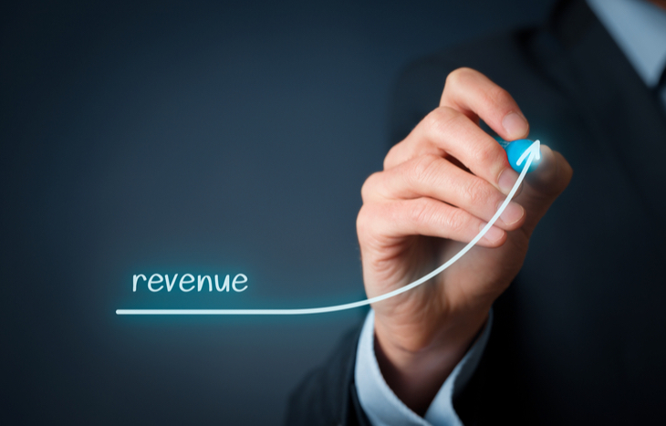 What is revenue vs. profit