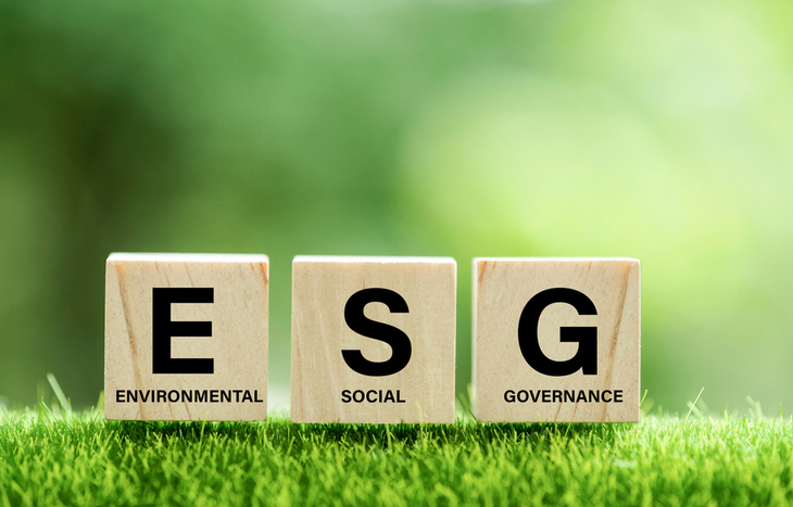 ESG stocks are leading the path to sustainability