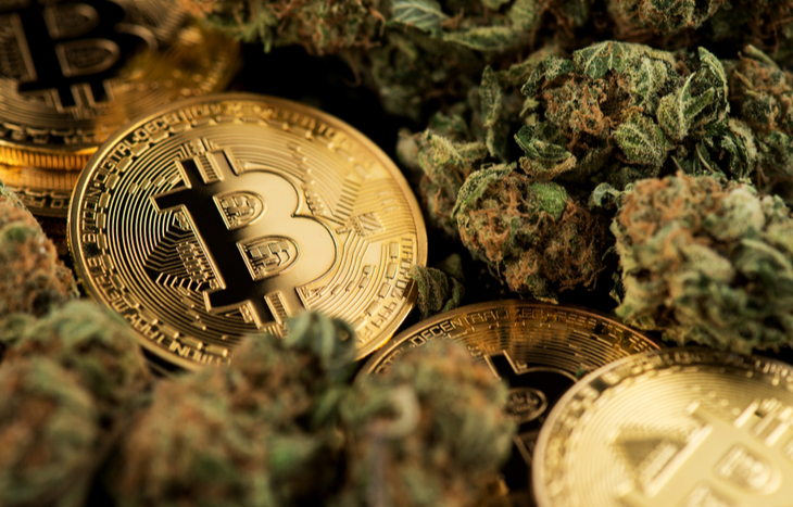 Tangi Crypto: Where Crypto Meets Cannabis