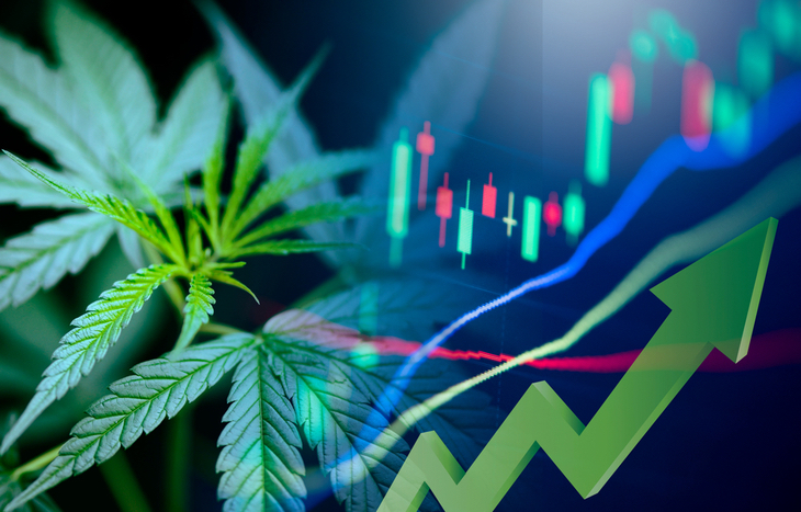Look at Canadian cannabis stocks for your portfolio