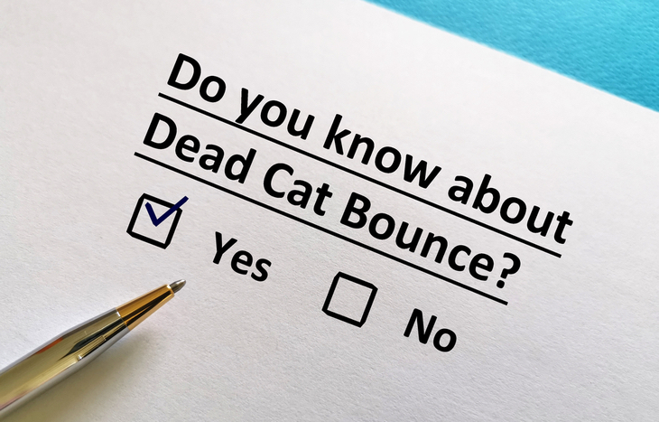 Learn more about a dead cat bounce in investing