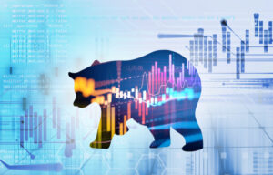 Best Stocks to Buy in a Bear Market: Your Complete Guide