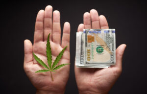 5 Best Marijuana Stocks: Beaten-Down Cannabis Market 2023
