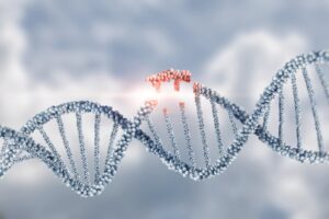 Getting in on the Gene-Editing Wave: Should You Buy CRSP Stock?